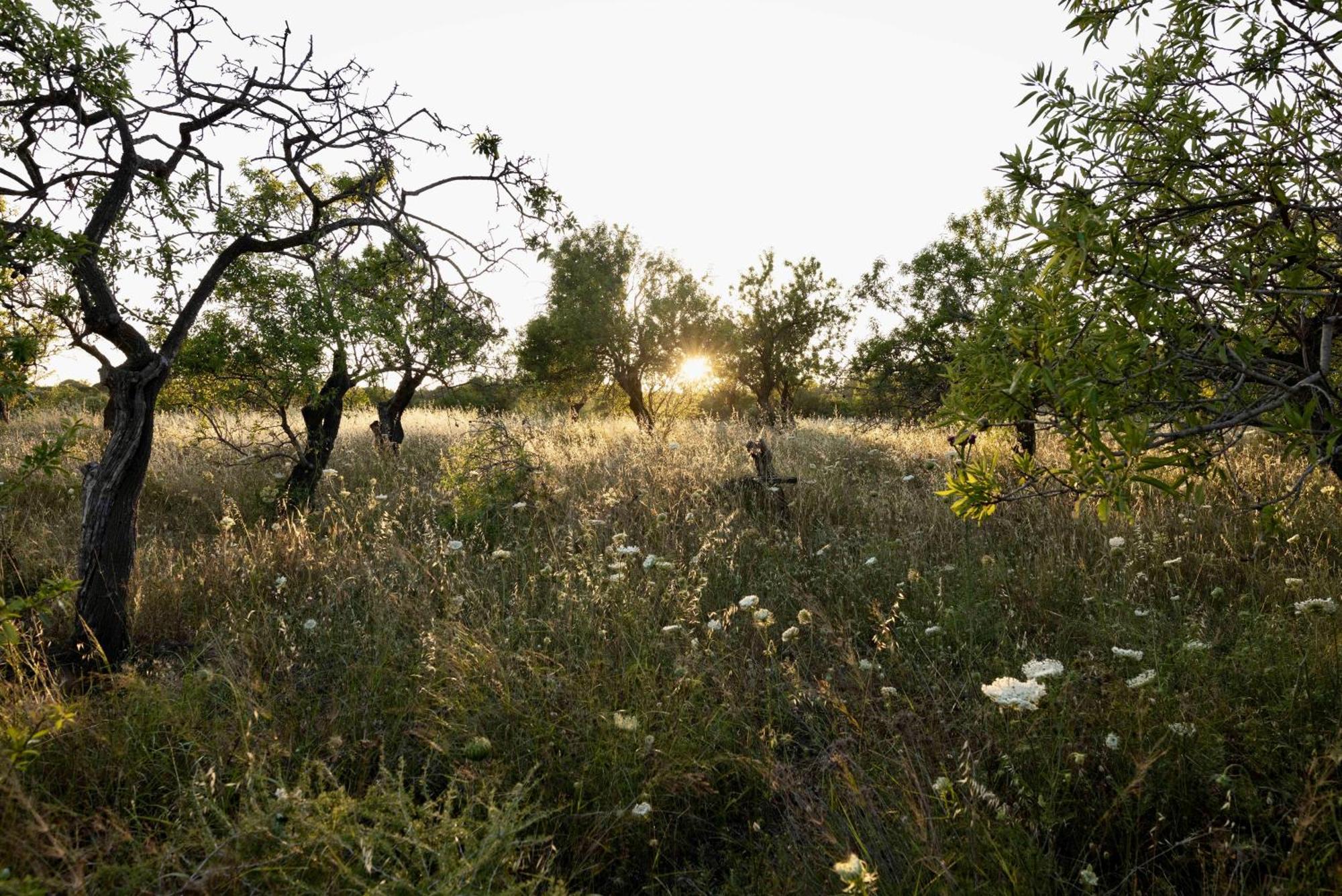 Soul Valley All-In Boutique Hotel With Yoga & Wellness Maracalagonis Εξωτερικό φωτογραφία