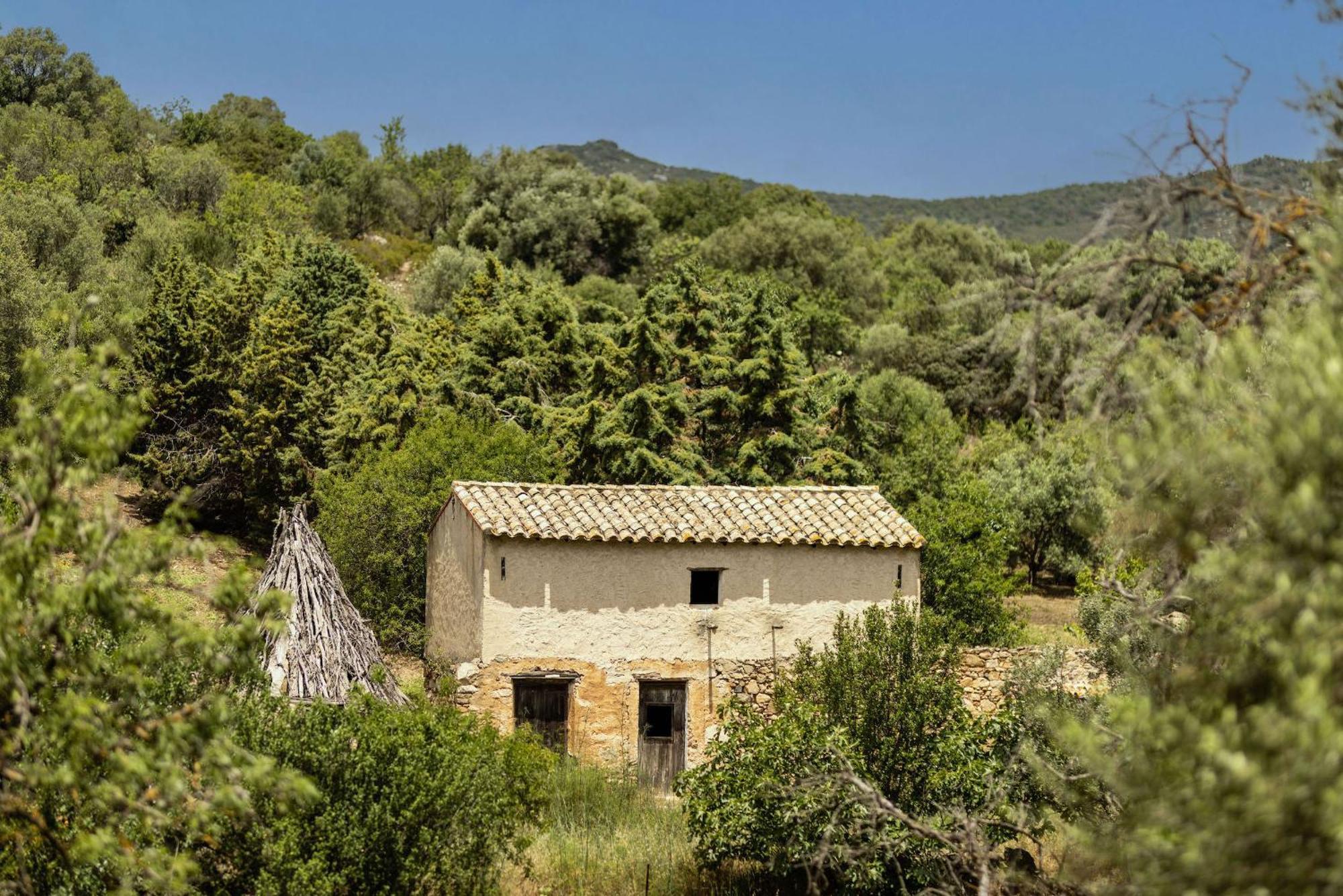 Soul Valley All-In Boutique Hotel With Yoga & Wellness Maracalagonis Εξωτερικό φωτογραφία